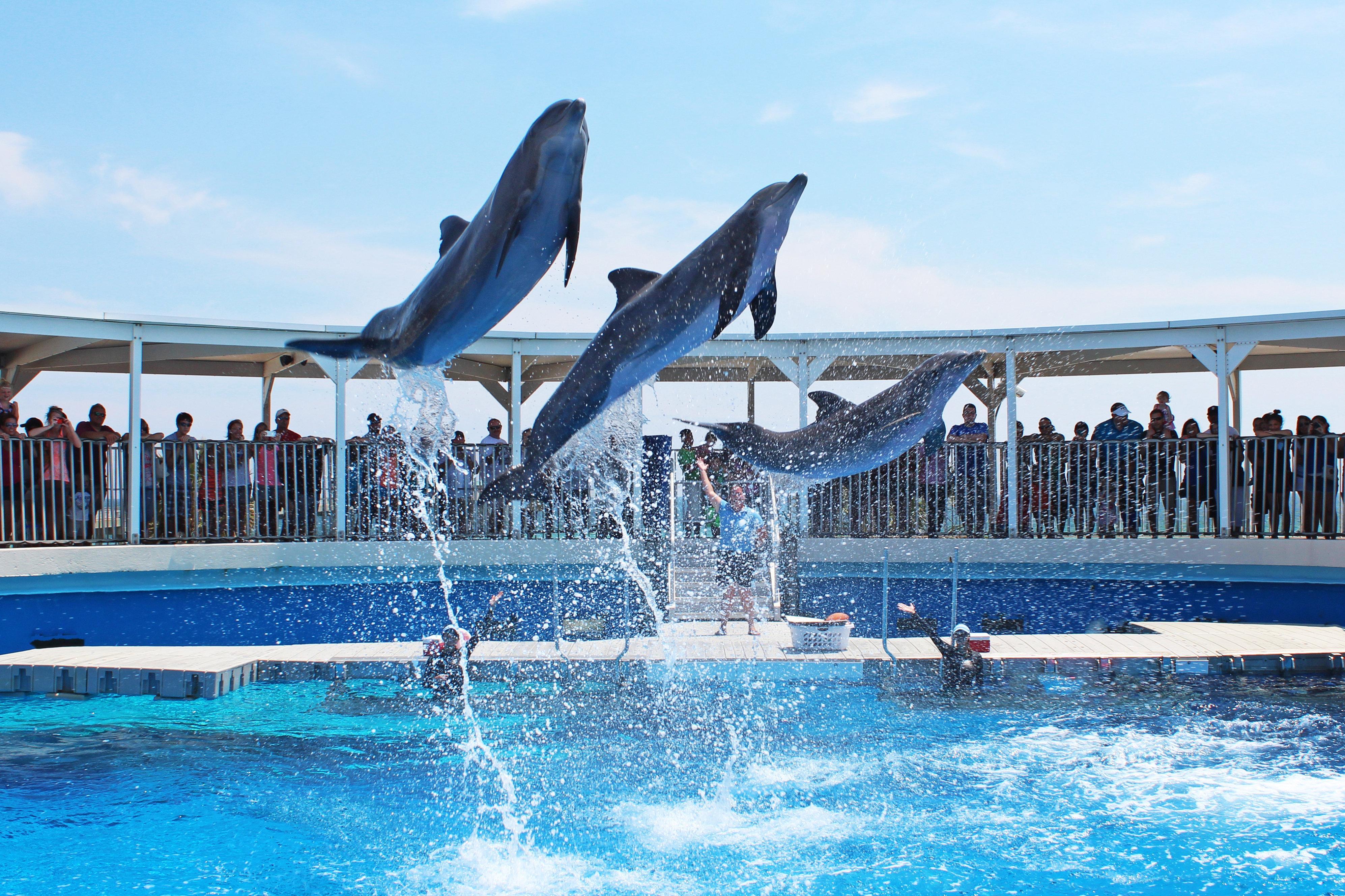 Holiday Inn Resort Fort Walton Beach By Ihg Exterior foto